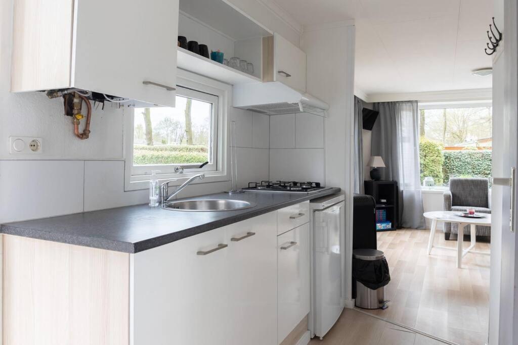 Ideaal Veluwe Bos Chalet Met Sfeervolle Pelletkachel Putten Exterior foto